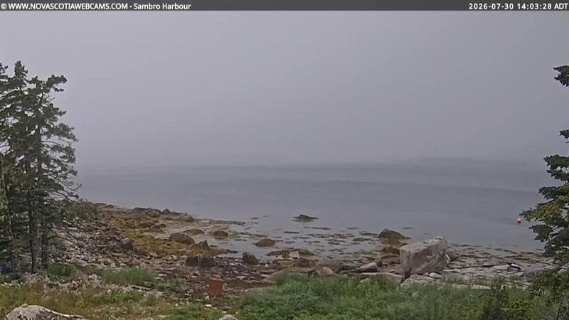Sambro Harbour