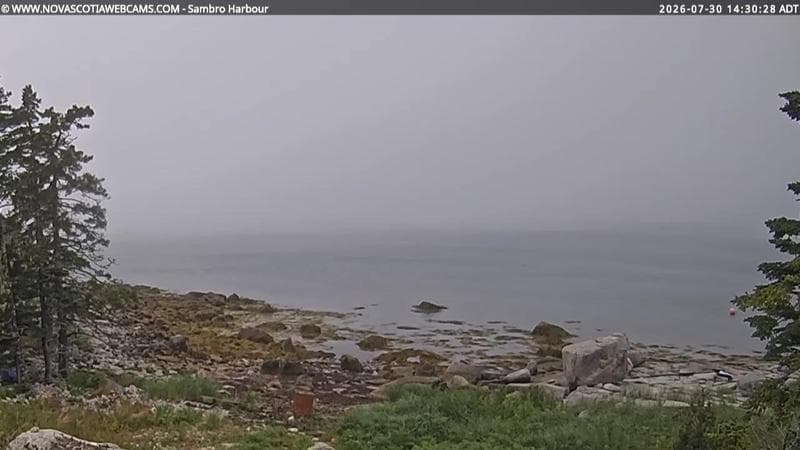 Sambro Harbour
