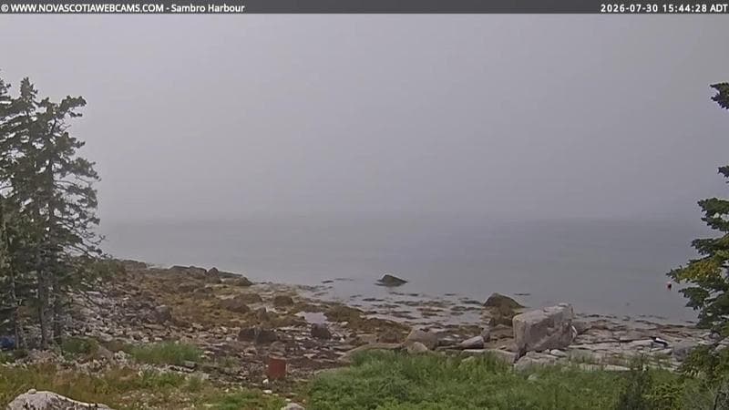 Sambro Harbour