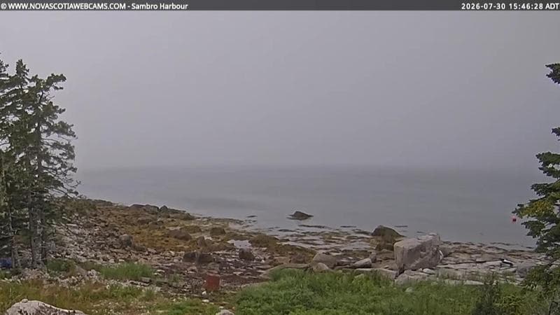 Sambro Harbour