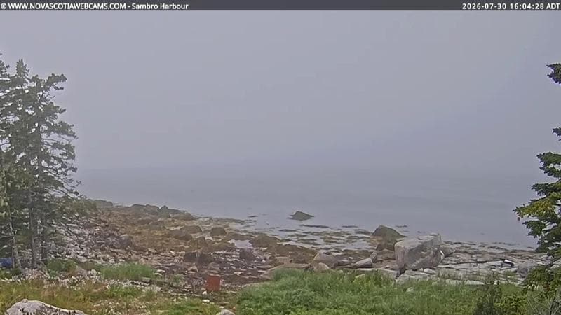 Sambro Harbour