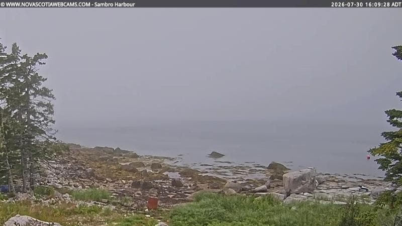 Sambro Harbour