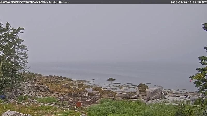 Sambro Harbour