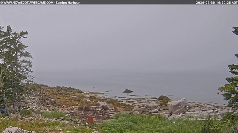 Sambro Harbour