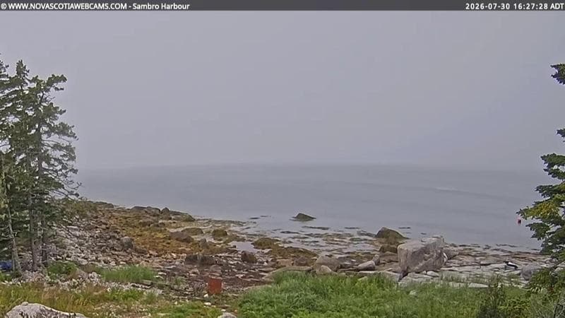 Sambro Harbour