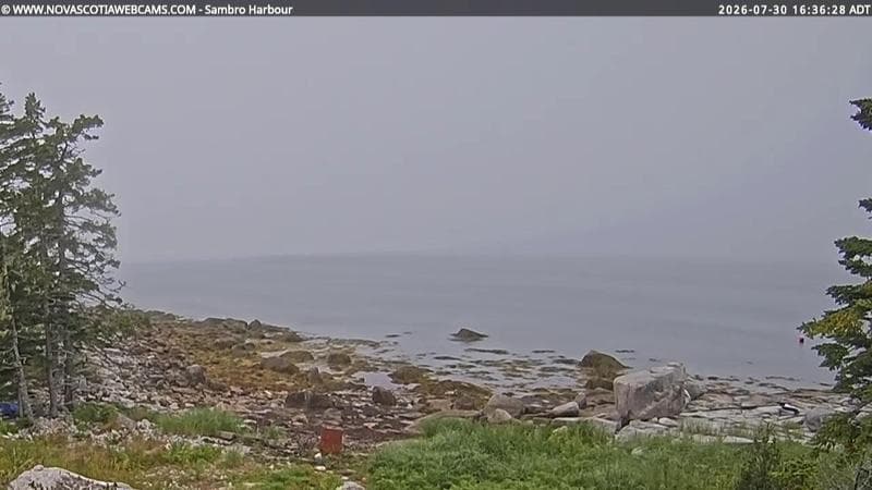 Sambro Harbour