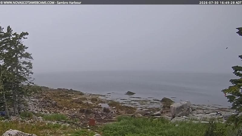 Sambro Harbour