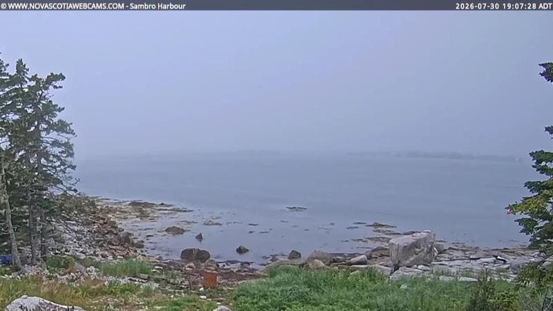 Sambro Harbour