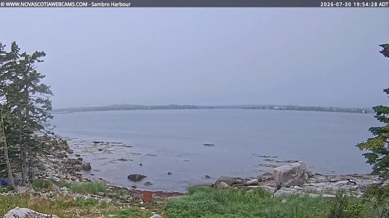 Sambro Harbour