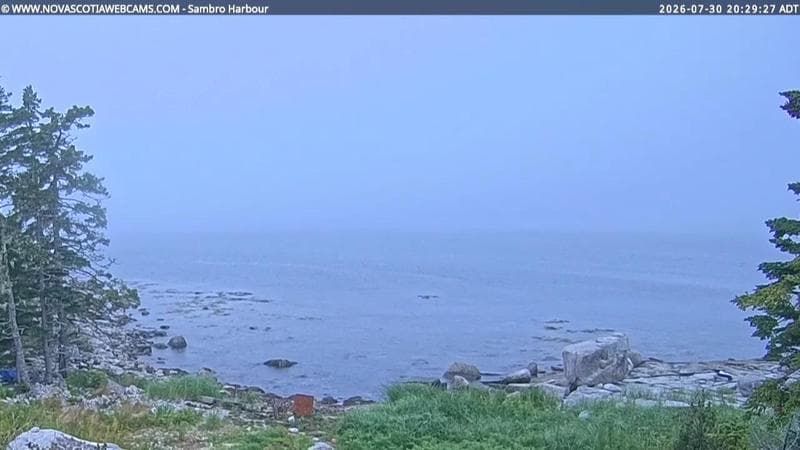 Sambro Harbour