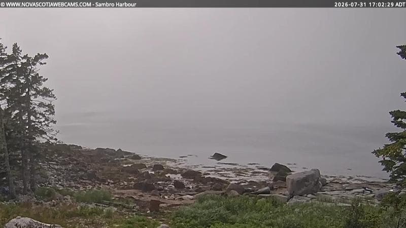 Sambro Harbour