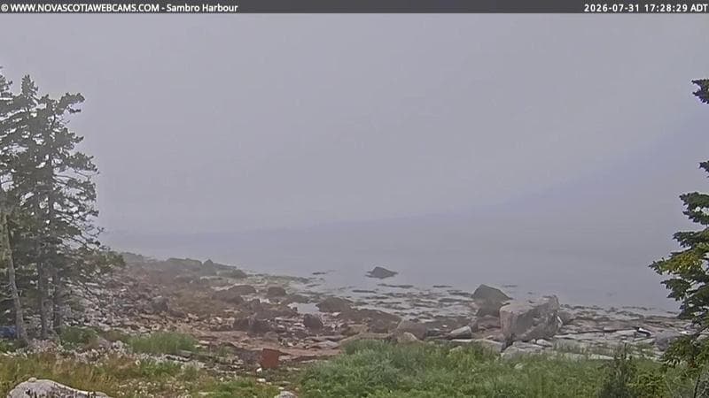 Sambro Harbour