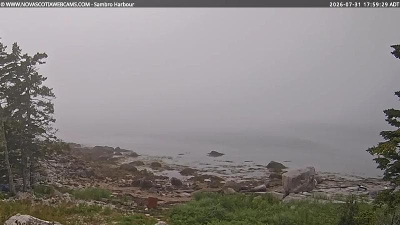 Sambro Harbour