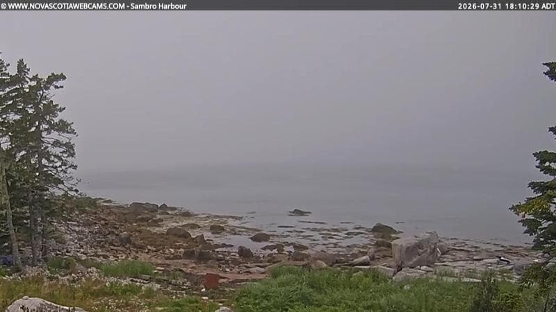 Sambro Harbour