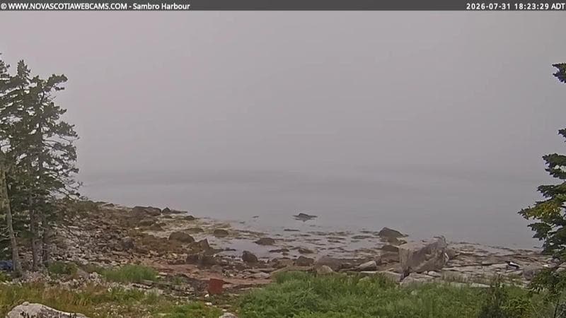 Sambro Harbour