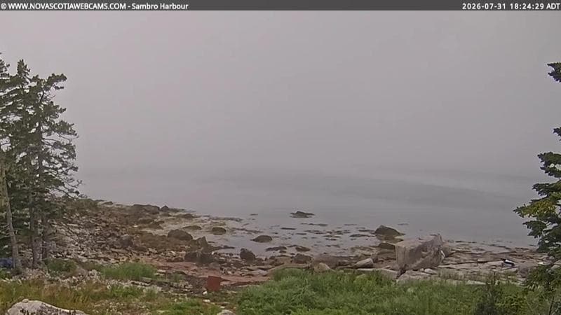 Sambro Harbour