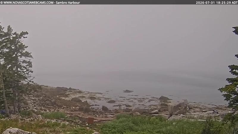 Sambro Harbour