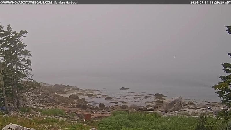 Sambro Harbour