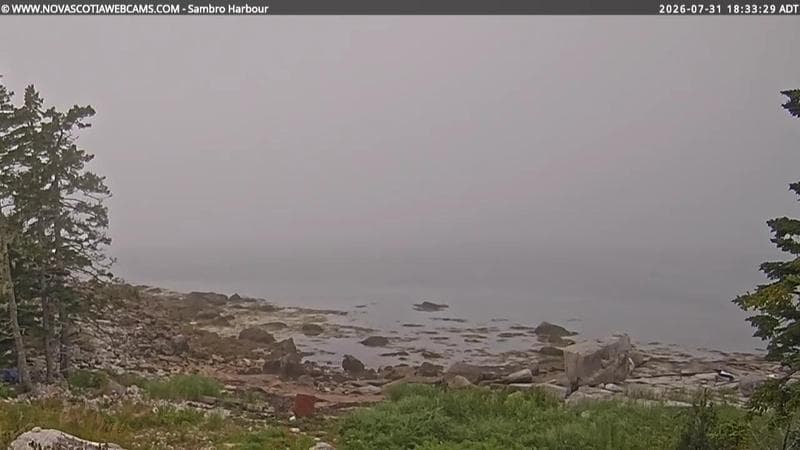 Sambro Harbour