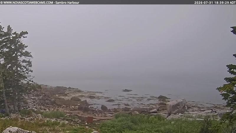 Sambro Harbour