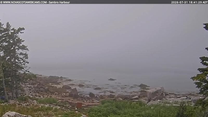 Sambro Harbour