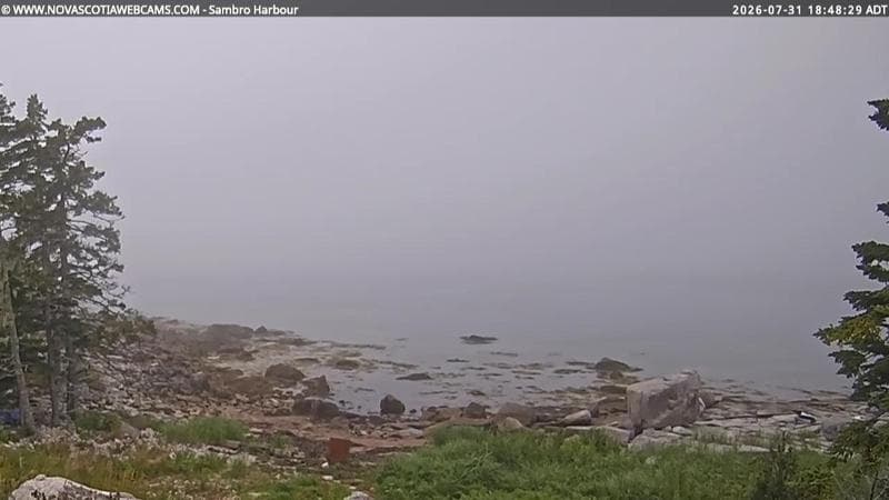 Sambro Harbour