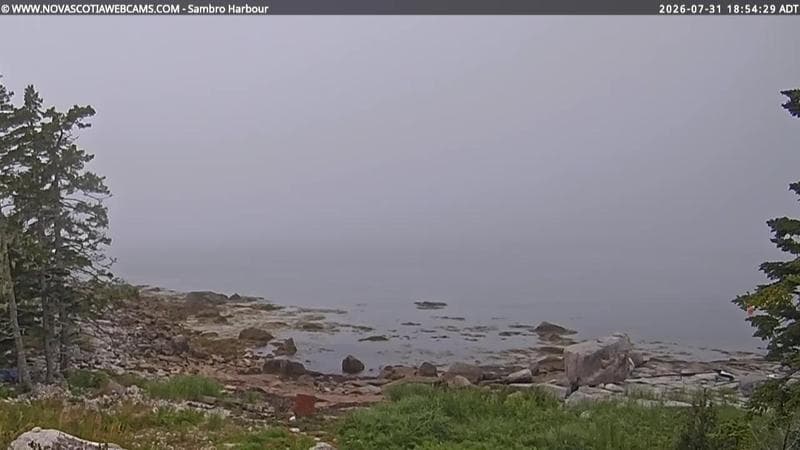 Sambro Harbour
