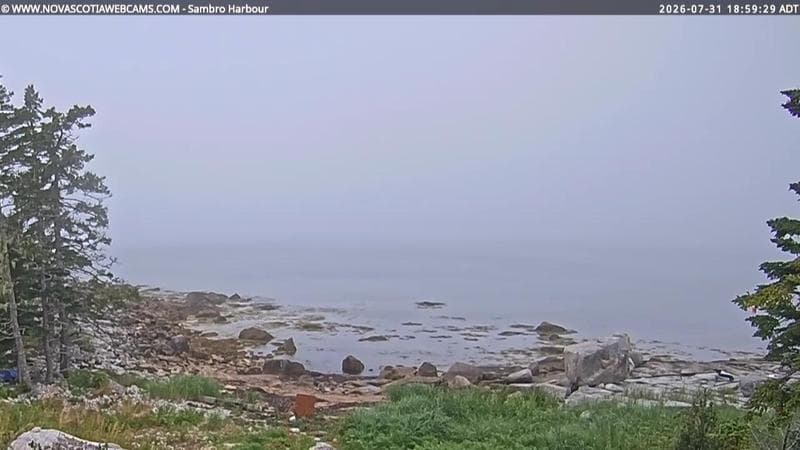 Sambro Harbour