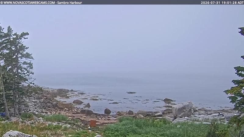 Sambro Harbour