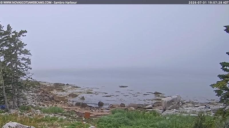 Sambro Harbour