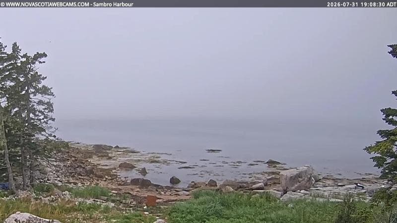 Sambro Harbour