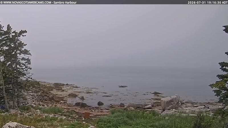 Sambro Harbour