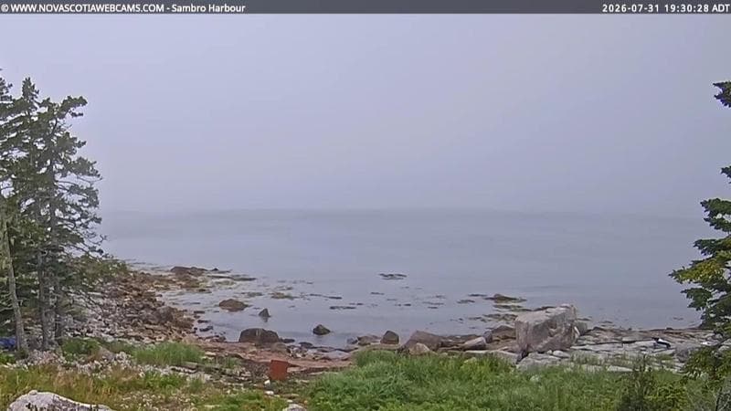 Sambro Harbour