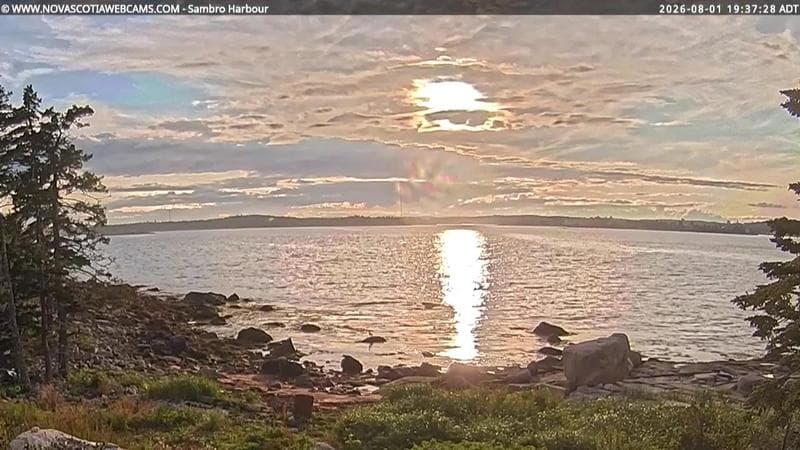 Sambro Harbour