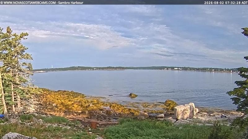 Sambro Harbour