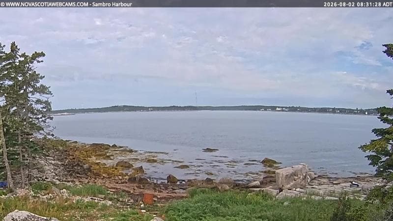 Sambro Harbour