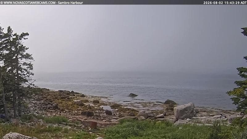 Sambro Harbour