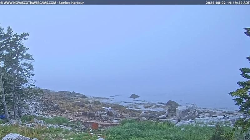 Sambro Harbour