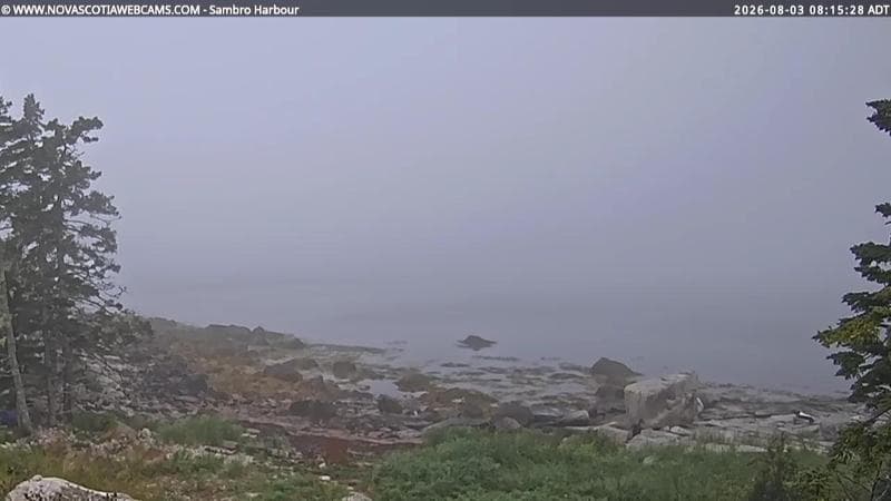 Sambro Harbour
