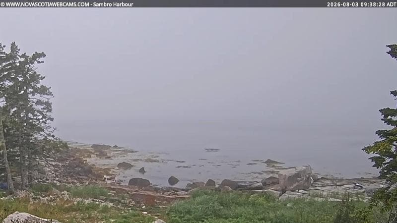Sambro Harbour