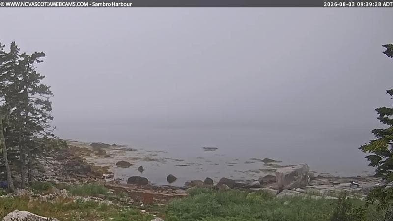 Sambro Harbour