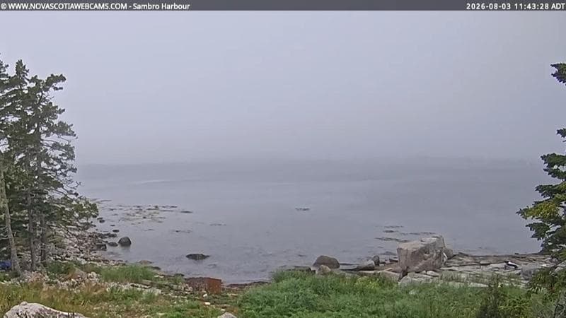Sambro Harbour