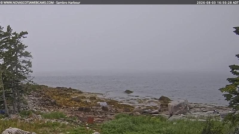 Sambro Harbour