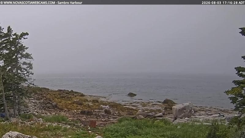 Sambro Harbour