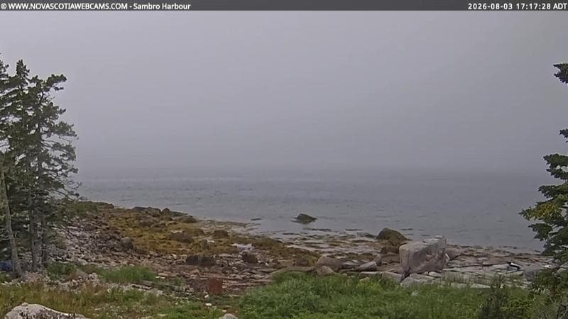 Sambro Harbour