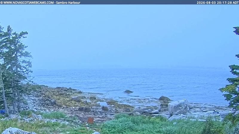 Sambro Harbour
