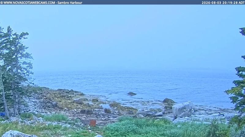 Sambro Harbour
