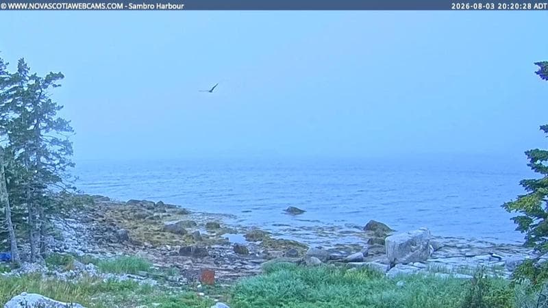 Sambro Harbour