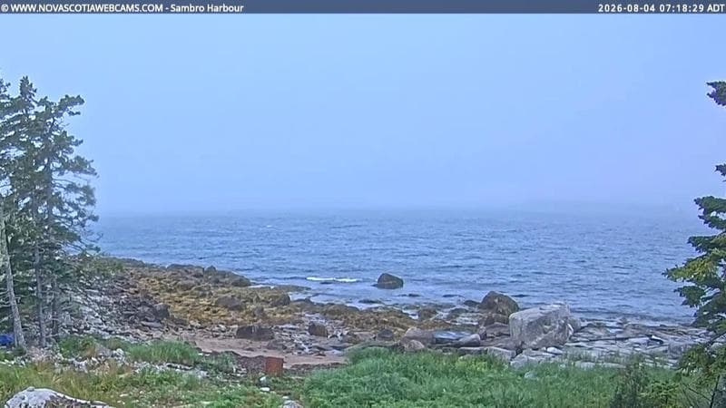 Sambro Harbour