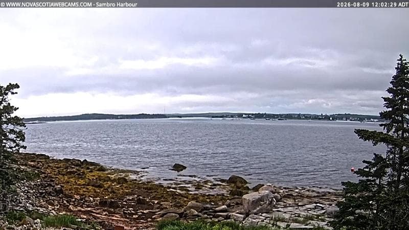 Sambro Harbour